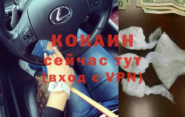 прущие крисы Ельня
