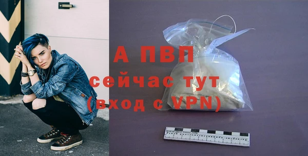амф Елизово
