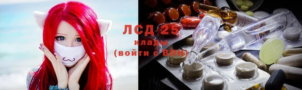 амф Елизово