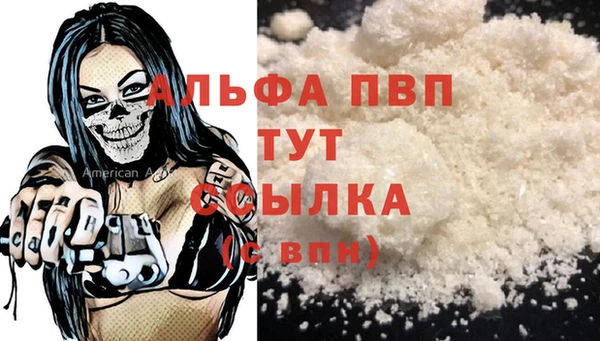 прущие крисы Ельня