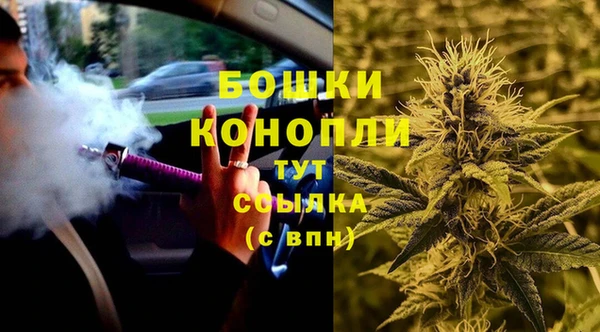 прущие крисы Ельня