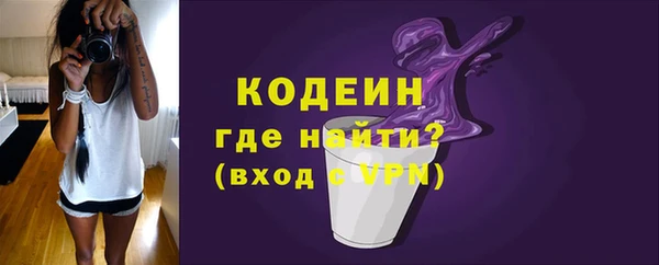 амф Елизово