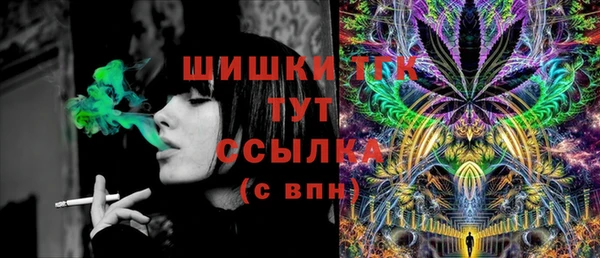 прущие крисы Ельня
