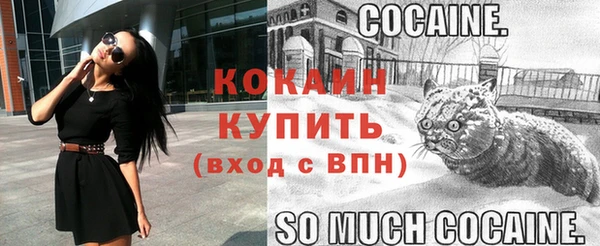 амф Елизово