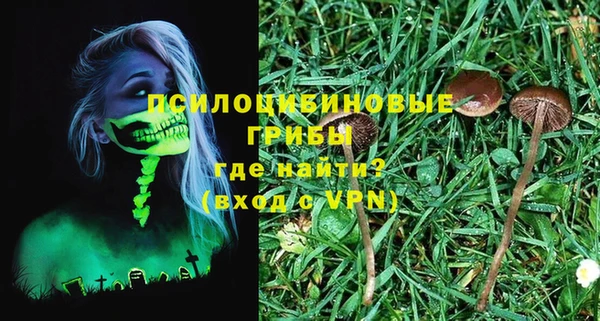 прущие крисы Ельня