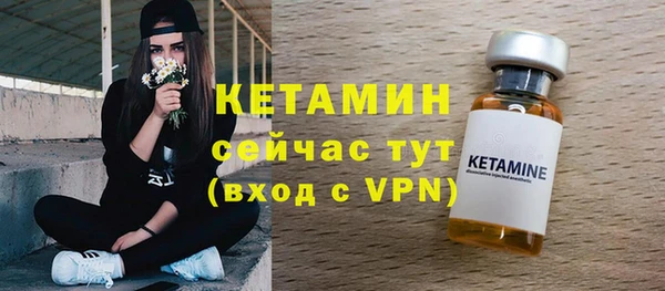 прущие крисы Ельня