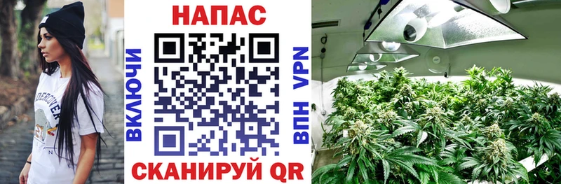 Купить  Карачев  Шишки марихуана индика 